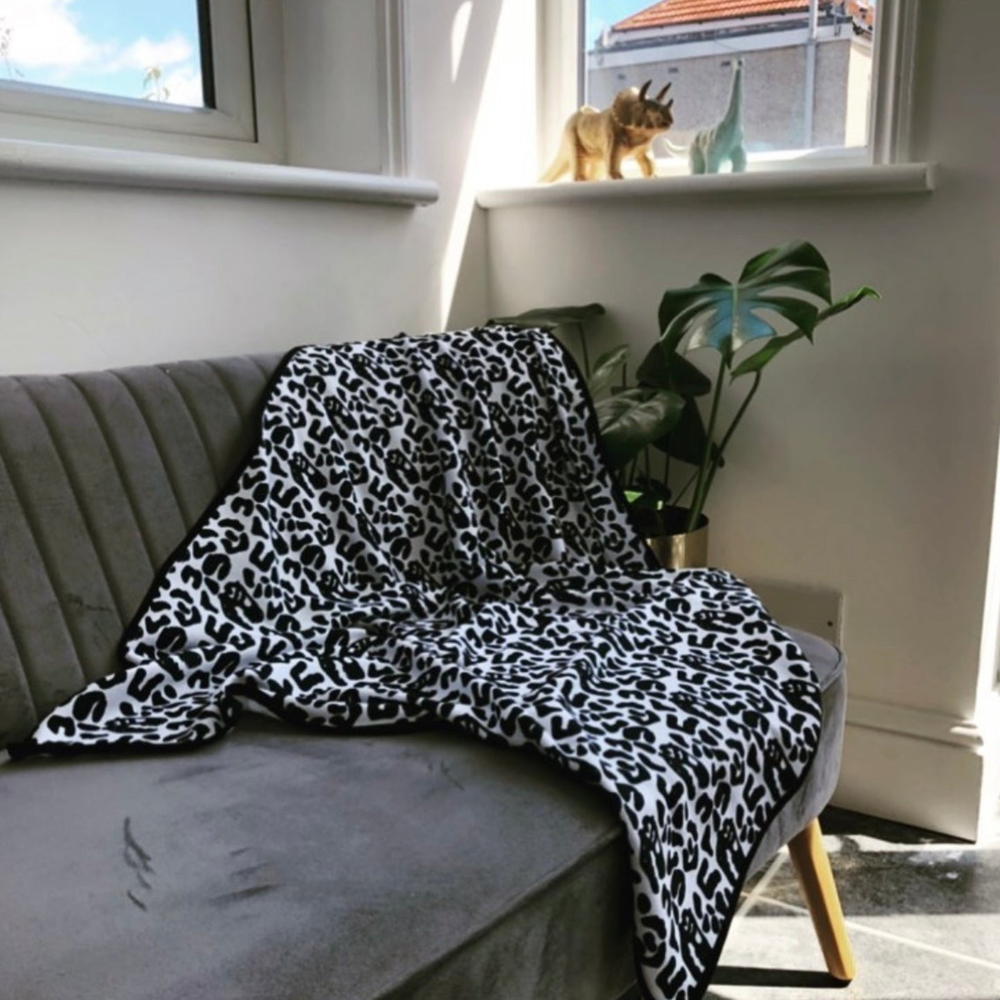 Minky Blanket