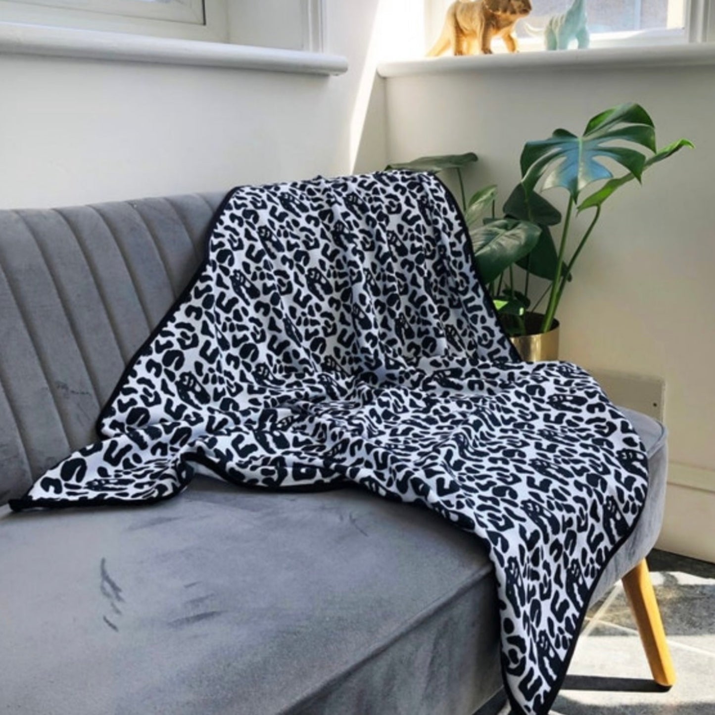 Loopback Jersey Signature Print Blanket